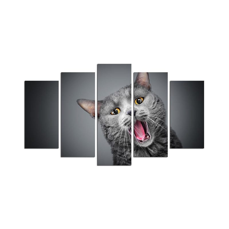 Koristeellinen MDF-maalaus 5-os 20x60 cm, Monivärinen