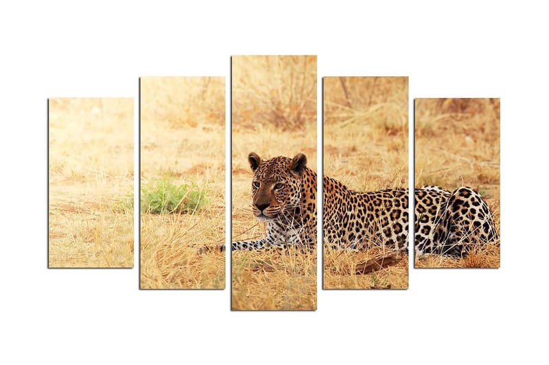 Koristeellinen MDF-maalaus 5-os 20x60 cm, Monivärinen