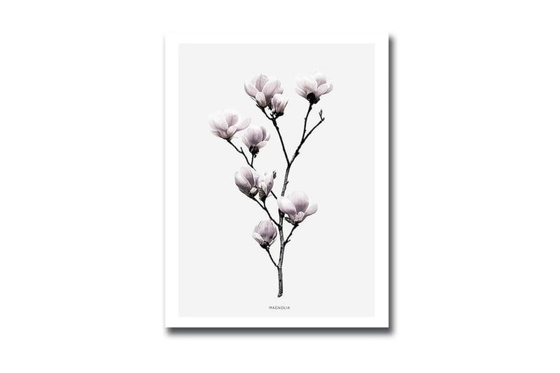 Koristeellinen MDF Maalaus, undefined