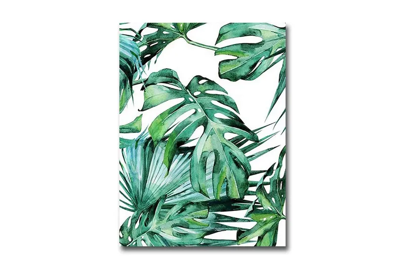 Pieni canvas-taulu 28x38 cm - Rehevä lehvästö ja trooppiset kasvit, Tummanvihreä / Vaaleanvihreä