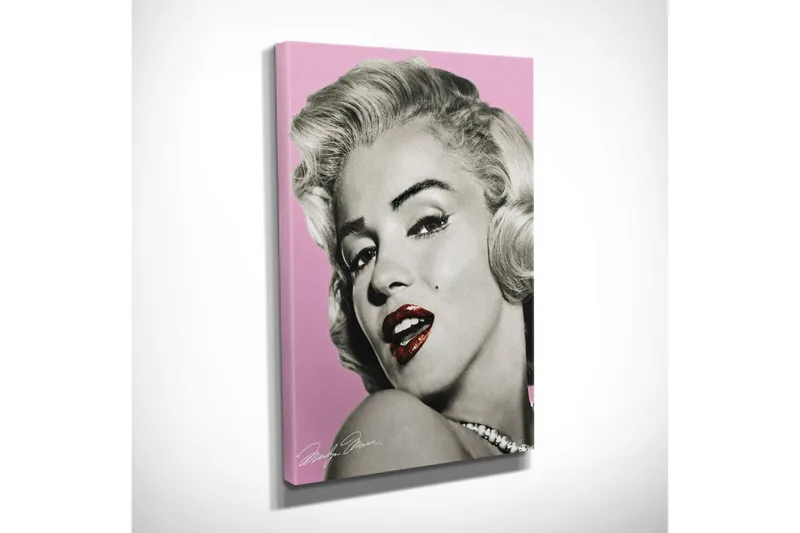 Pieni canvas-taulu 30x40 cm - Muotokuva lumoavasta naisesta vintage-tyylillä - Vaaleanpunainen / Musta / Valkoinen - Sisustustuotteet - Taulu & taide - Canvas-taulu