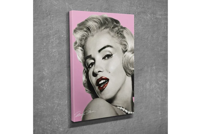 Pieni canvas-taulu 30x40 cm - Muotokuva lumoavasta naisesta vintage-tyylillä, Vaaleanpunainen / Musta / Valkoinen