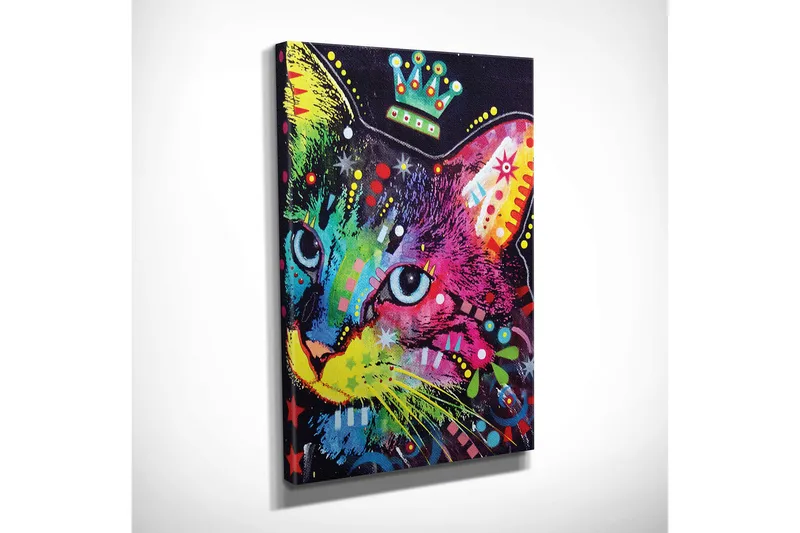 Pieni canvas-taulu 30x40 cm - Värikäs kissa graafisilla kuvioilla ja yksityiskohdilla - Vihreä / Vaaleanpunainen / Sininen - Sisustustuotteet - Taulu & taide - Canvas-taulu