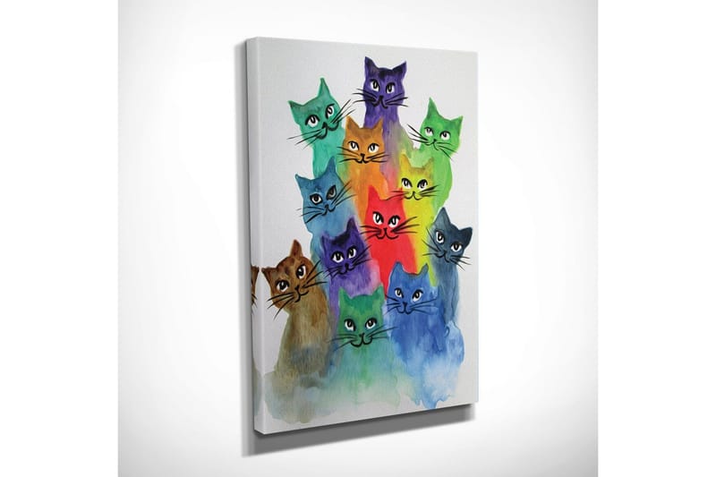 Pieni canvas-taulu 30x40 cm - Värikäs kokoelma kissoja eri sävyissä - Vihreä / Sininen / Violetti - Sisustustuotteet - Taulu & taide - Canvas-taulu