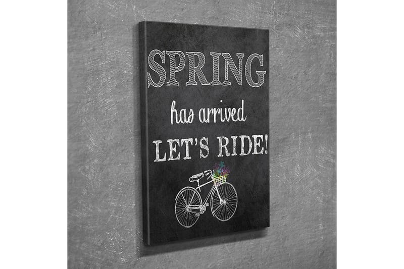 Pieni canvas-taulu 30x40 cm - Polkupyörä kukkakorilla ja tekstillä Spring has arroved, Let's ride!, Valkoinen / Musta / Vihreä