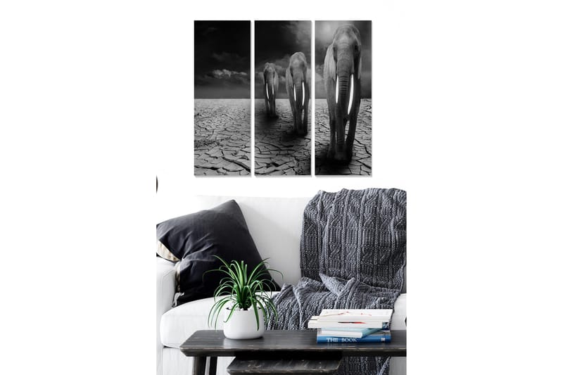 Puinen canvas-taulu, 3 osaa, 50x70 cm - Kolme norsua kävelemässä halkeilevalla ja kuivalla maapinnalla, Musta / Harmaa / Valkoinen