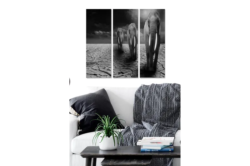 Puinen canvas-taulu, 3 osaa, 50x70 cm - Kolme norsua kävelemässä halkeilevalla ja kuivalla maapinnalla, Musta / Harmaa / Valkoinen