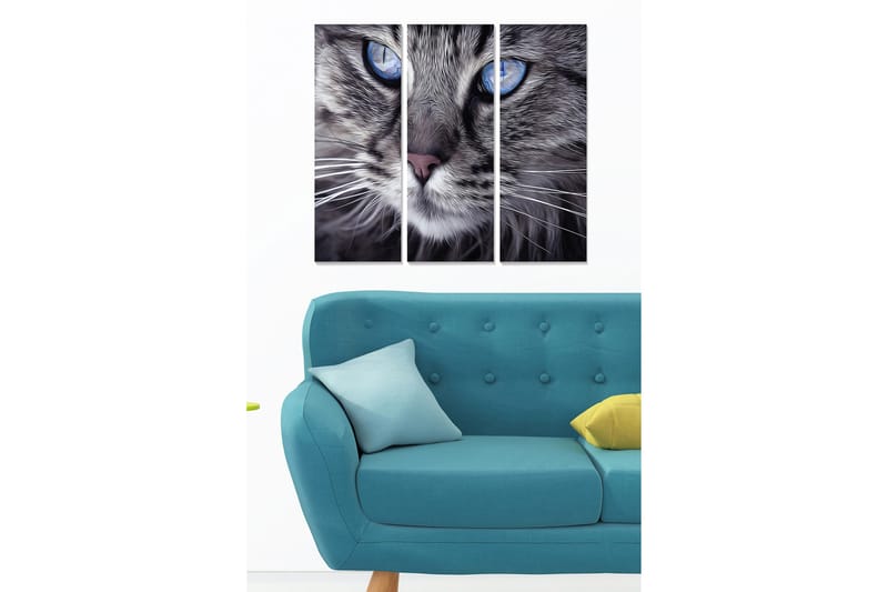 Puinen canvas-taulu, 3 osaa, 50x70 cm - Lähikuva kissasta, jolla on syvän siniset silmät, Harmaa / Sininen