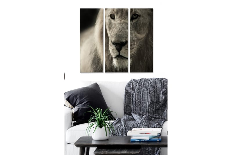 Puinen canvas-taulu, 3 osaa, 50x70 cm - Majesteettinen leijonanpää lähikuvassa, Harmaa / Beige / Musta