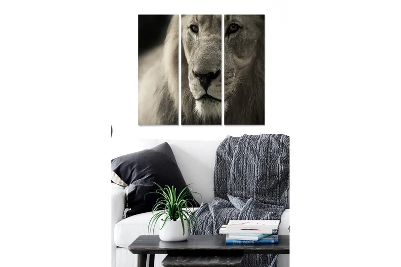 Puinen canvas-taulu, 3 osaa, 50x70 cm - Majesteettinen leijonanpää lähikuvassa, Harmaa / Beige / Musta
