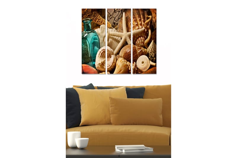 Puinen canvas-taulu, 3 osaa, 50x70 cm - Merestä inspiroitunut simpukankuorien ja rantaesineiden kokoelma - Turkoosi / Beige / Ruskea - Sisustustuotteet - Taulu & taide - Canvas-taulu