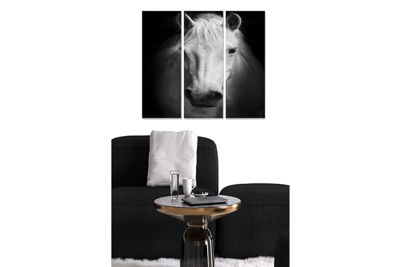 Puinen canvas-taulu, 3 osaa, 50x70 cm - mustavalkoinen muotokuva valkoisesta hevosesta, Valkoinen / Musta