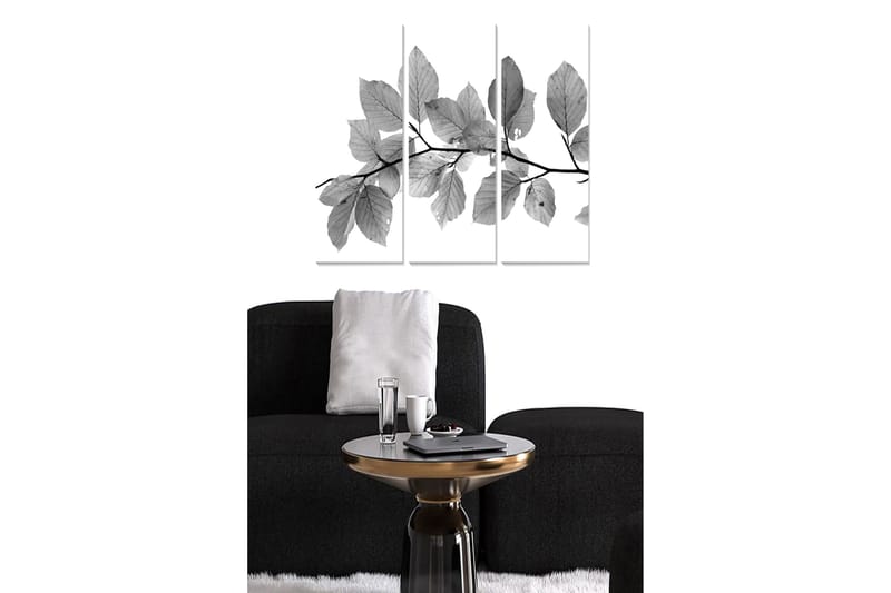Puinen canvas-taulu, 3 osaa, 50x70 cm - Mustavalkoisia lehtiä oksalla, Musta / Harmaa / Valkoinen