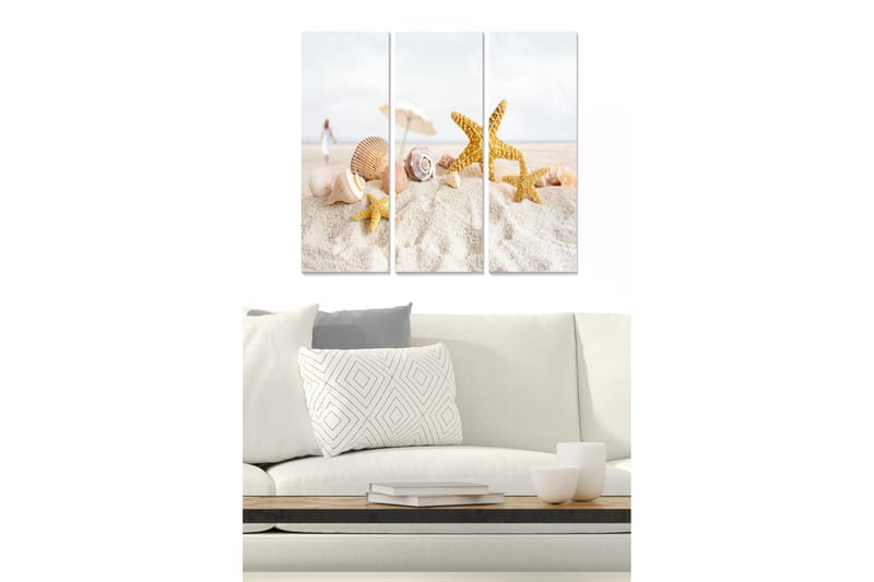 Puinen canvas-taulu, 3 osaa, 50x70 cm - Ranta-aihe simpukoilla ja meritähdillä, Kulta / Beige / Valkoinen