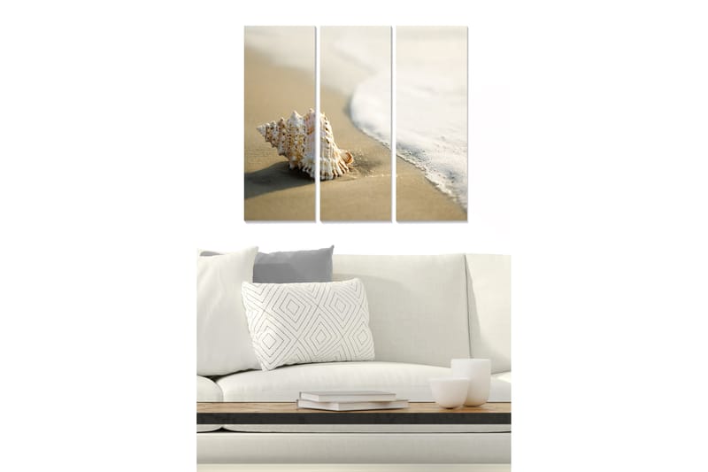 Puinen canvas-taulu, 3 osaa, 50x70 cm - Simpukankuori hiekkarannalla meren rannalla - Valkoinen / Beige / Vaaleansininen - Sisustustuotteet - Taulu & taide - Canvas-taulu
