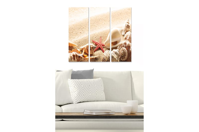 Puinen canvas-taulu, 3 osaa, 50x70 cm - Simpukoita ja meritähti hiekkarannalla, Beige / Punainen / Ruskea