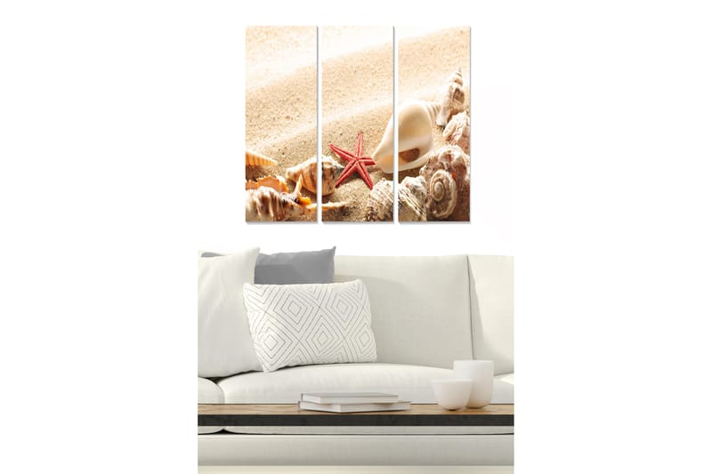 Puinen canvas-taulu, 3 osaa, 50x70 cm - Simpukoita ja meritähti hiekkarannalla, Beige / Punainen / Ruskea