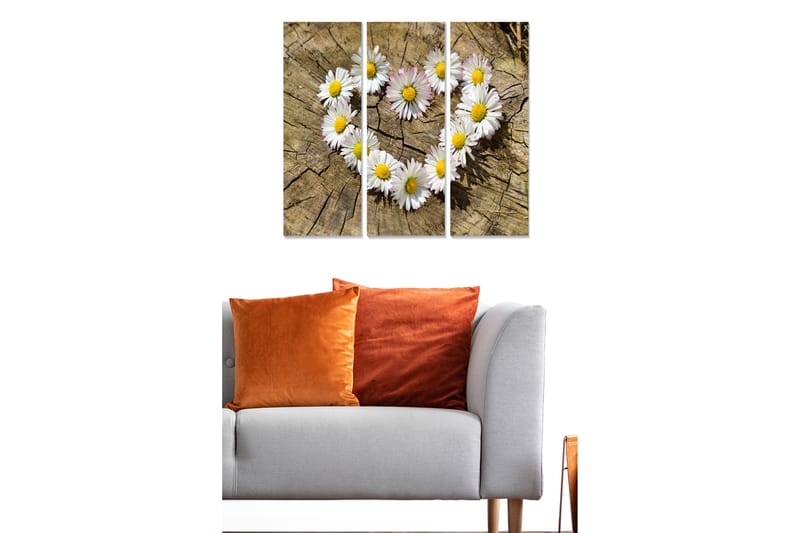 Puinen canvas-taulu, 3 osaa, 50x70 cm - Sydämenmuotoinen kokoelma päivänkakkaroita puupinnalla, Valkoinen / Keltainen / Ruskea