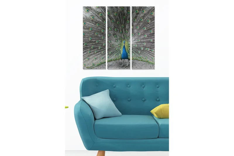 Puinen canvas-taulu, 3 osaa, 50x70 cm - Upea riikinkukko hajallaan olevilla höyhenillä, Sininen / Vihreä / Harmaa