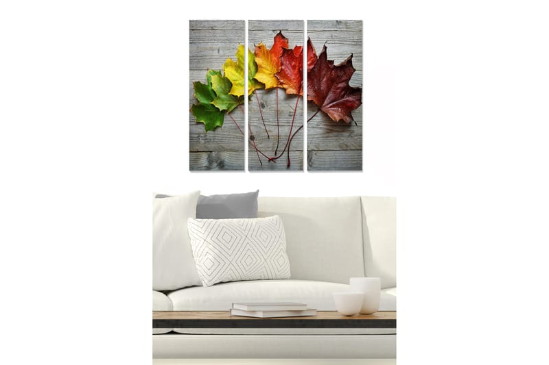 Puinen canvas-taulu, 3 osaa, 50x70 cm - Värikkäät syksyn lehdet puupinnalla, Vihreä / Keltainen / Punainen