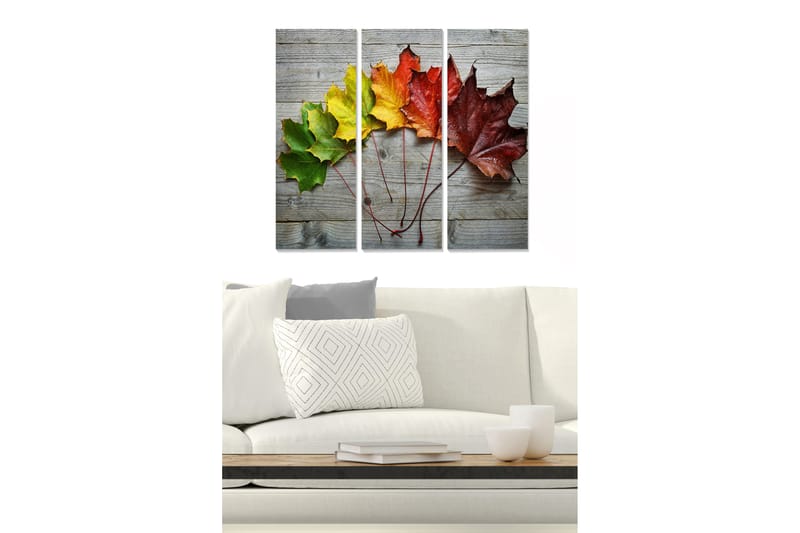 Puinen canvas-taulu, 3 osaa, 50x70 cm - Värikkäät syksyn lehdet puupinnalla, Vihreä / Keltainen / Punainen