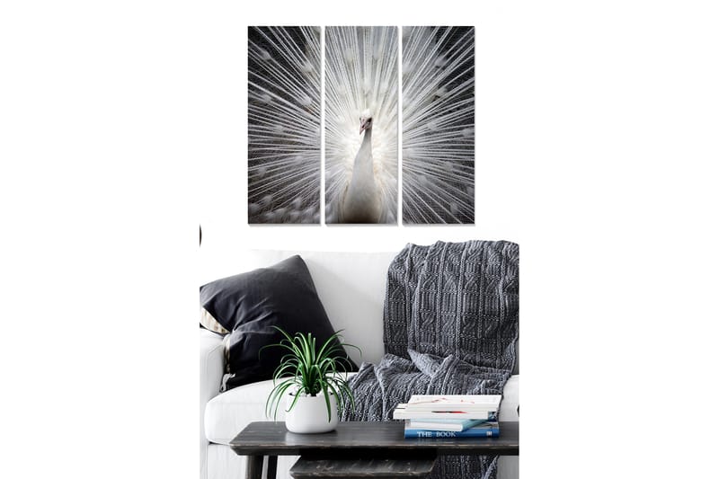 Puinen canvas-taulu, 3 osaa, 50x70 cm - Valkoinen riikinkukko valonsäteineen takanaan - Valkoinen / Harmaa / Musta - Sisustustuotteet - Taulu & taide - Canvas-taulu