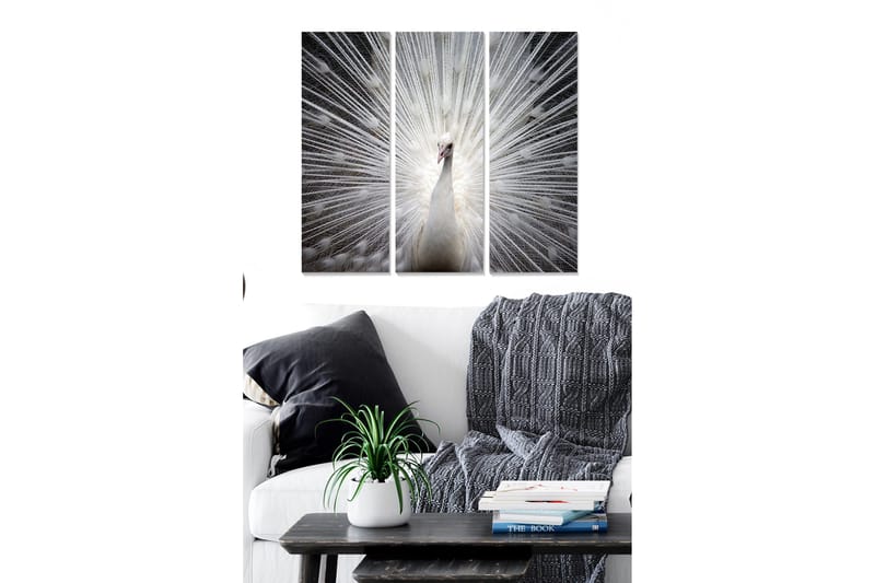Puinen canvas-taulu, 3 osaa, 50x70 cm - Valkoinen riikinkukko valonsäteineen takanaan - Valkoinen / Harmaa / Musta - Sisustustuotteet - Taulu & taide - Canvas-taulu