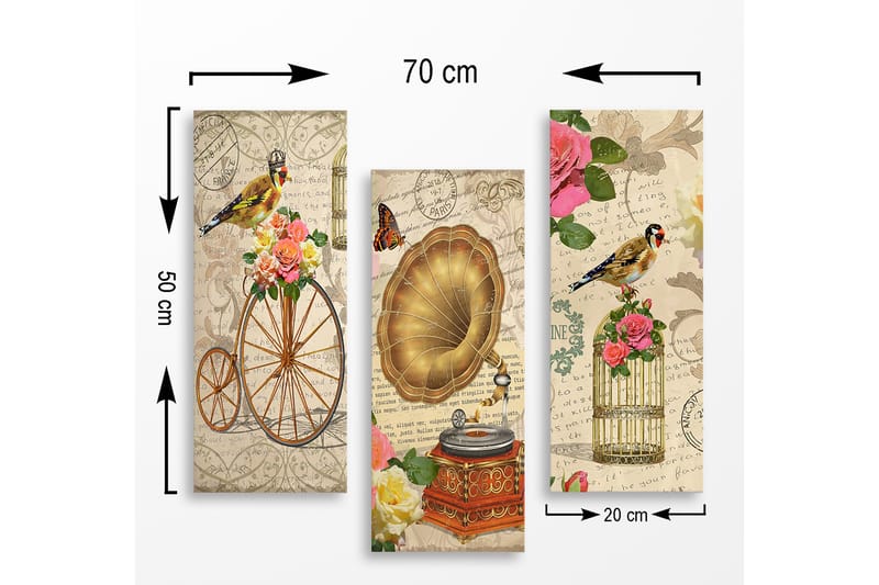 Puinen canvas-taulu, 3 osaa, 50x70 cm - Vintage-sommitelma linnuilla, kukilla ja gramofonilla - Kulta / Vaaleanpunainen / Vihreä - Sisustustuotteet - Taulu & taide - Canvas-taulu