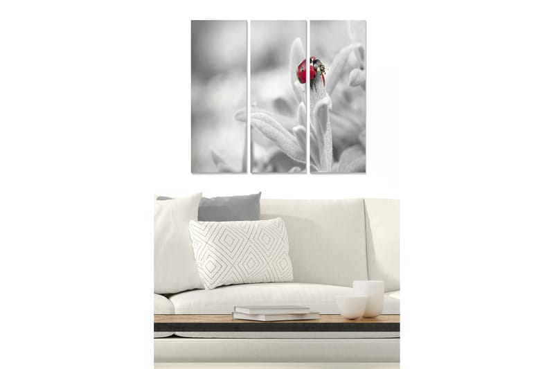 Puinen canvas-taulu, 3 osaa, 50x70 cm - Punainen leppäkerttu vihreällä kasvilla, Punainen / Vihreä / Musta