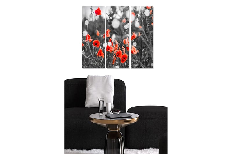 Puinen canvas-taulu, 3 osaa, 50x70 cm - Punainen unikko mustavalkoisessa maisemasommitelmassa, Punainen / Musta