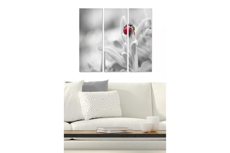 Puinen canvas-taulu, 3 osaa, 50x70 cm - Punainen leppäkerttu vihreällä kasvilla, Punainen / Vihreä / Musta