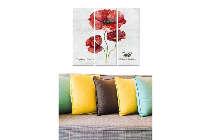 Puinen canvas-taulu, 3 osaa, 50x70 cm - Punainen unikko kasvitieteellisellä kuvalla, Punainen / Vihreä / Beige