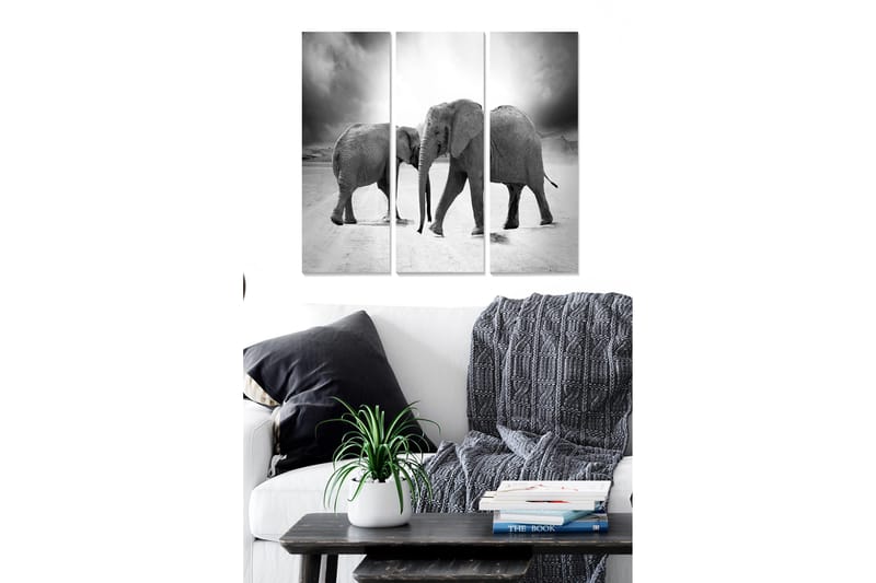 Puinen canvas-taulu, 3-osainen, 50x70 cm - Kolme norsua mustavalkoisessa sommitelmassa, Musta / Valkoinen / Harmaa