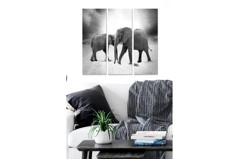 Puinen canvas-taulu, 3-osainen, 50x70 cm - Kolme norsua mustavalkoisessa sommitelmassa, Musta / Valkoinen / Harmaa