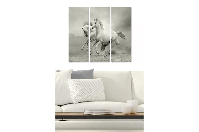 Puinen canvastaulu, 3 osaa, 50x70 cm - Dynaamiset hevoset liikkeessä, Valkoinen / Harmaa