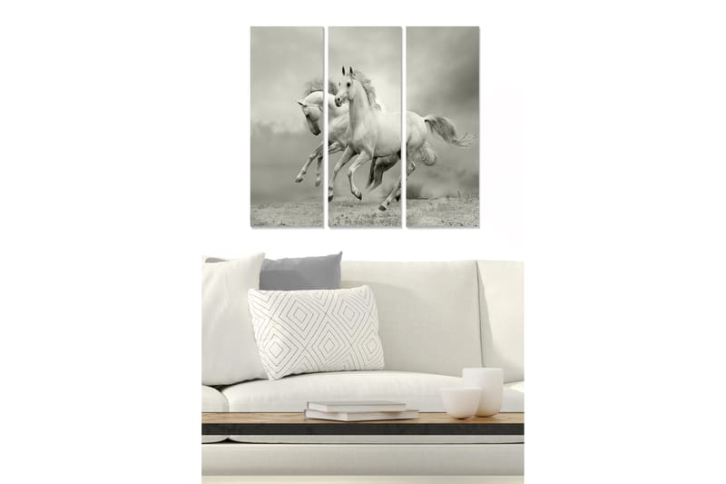 Puinen canvastaulu, 3 osaa, 50x70 cm - Dynaamiset hevoset liikkeessä, Valkoinen / Harmaa