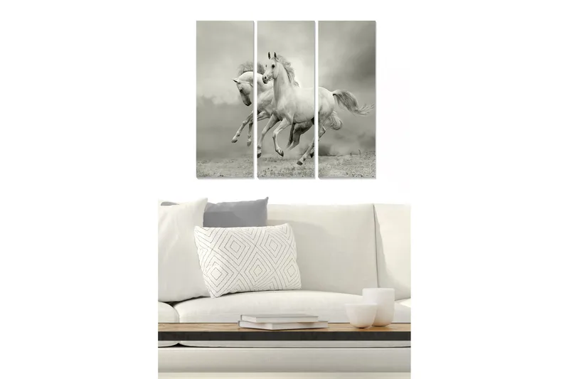 Puinen canvastaulu, 3 osaa, 50x70 cm - Dynaamiset hevoset liikkeessä, Valkoinen / Harmaa