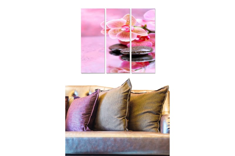 Puinen canvastaulu, 3 osaa, 50x70 cm - Ihana orkidea kivillä vedessä, Vaaleanpunainen / Musta / Vihreä