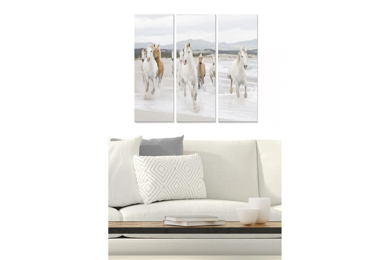 Puinen canvastaulu, 3 osaa, 50x70 cm - Juoksevia hevosia meren rannalla, Valkoinen / Beige / Vaaleanharmaa