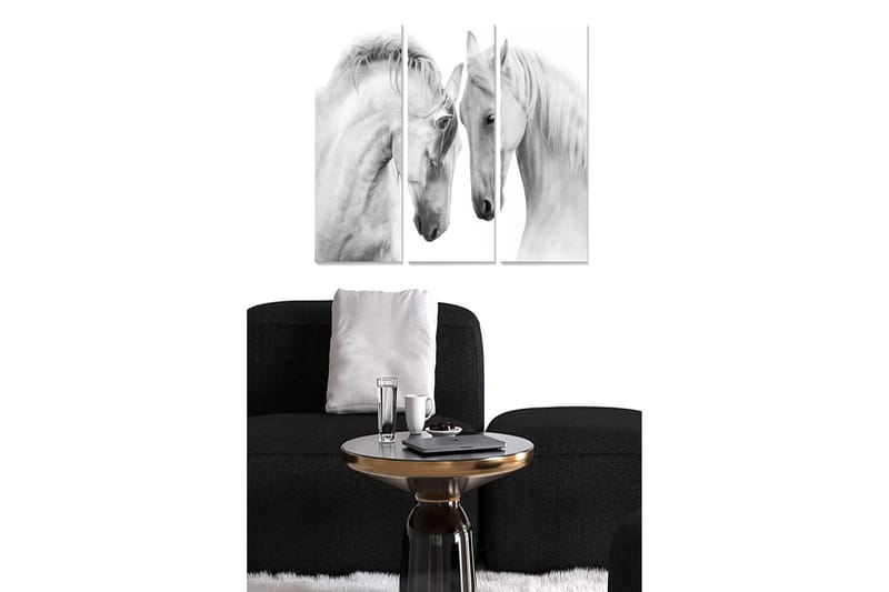 Puinen canvastaulu, 3 osaa, 50x70 cm - Kaksi eleganttia valkoista hevosta seisoo lähellä toisiaan, Valkoinen / Harmaa