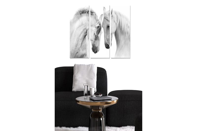 Puinen canvastaulu, 3 osaa, 50x70 cm - Kaksi eleganttia valkoista hevosta seisoo lähellä toisiaan, Valkoinen / Harmaa