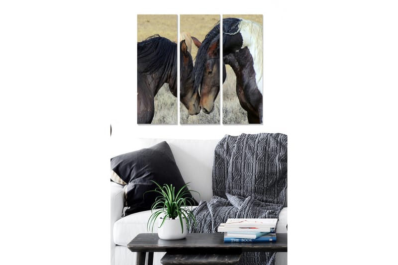 Puinen canvastaulu, 3 osaa, 50x70 cm - Kaksi hevosta nojaa varovasti päätään toisiaan kohti, Tummanruskea / Vaaleanruskea / Valkoinen