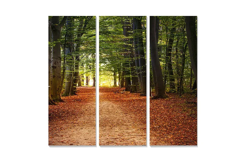 Puinen canvastaulu, 3 osaa, 50x70 cm - Kaunis metsäpolku, jota ympäröivät vihreät puut ja syksyn lehdet, Vihreä / Oranssi / Ruskea