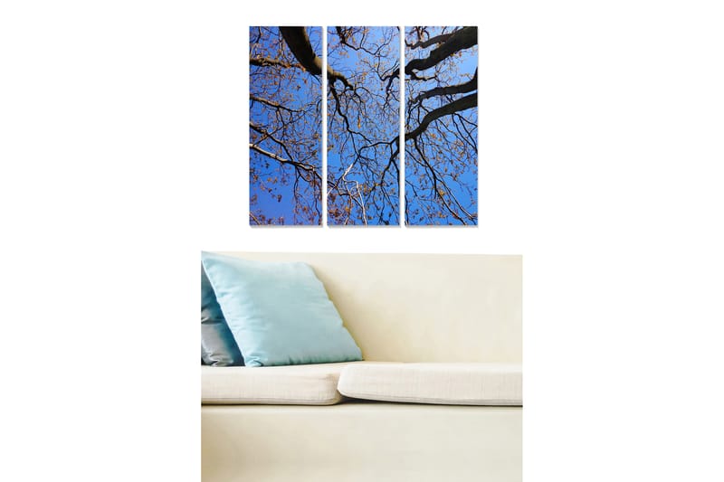 Puinen canvastaulu, 3 osaa, 50x70 cm - Kaunis näkymä puiden latvoihin kirkasta sinistä taivasta vasten, Sininen / Ruskea / Kulta