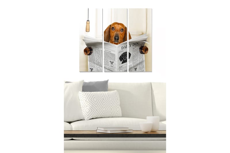 Puinen canvastaulu, 3 osaa, 50x70 cm - Koira lukee sanomalehteä uteliaana, Ruskea / Musta / Valkoinen