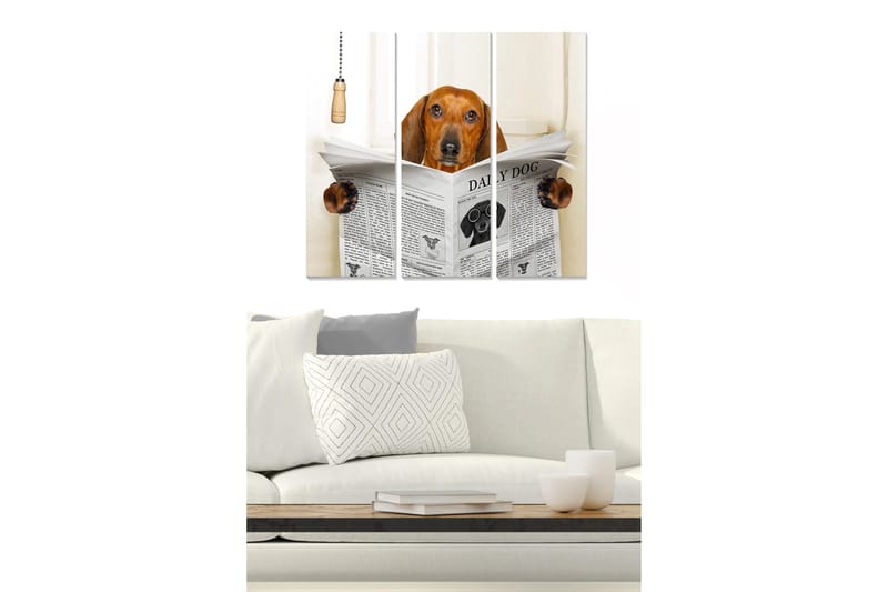 Puinen canvastaulu, 3 osaa, 50x70 cm - Koira lukee sanomalehteä uteliaana, Ruskea / Musta / Valkoinen