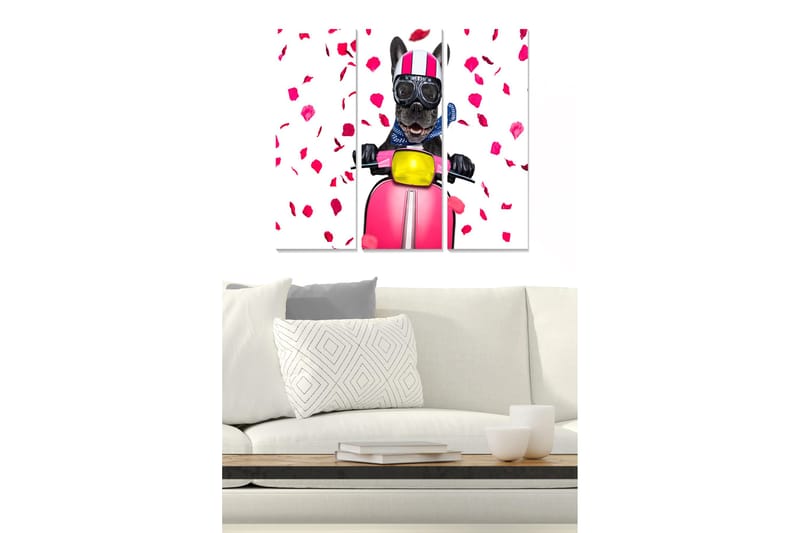 Puinen canvastaulu, 3 osaa, 50x70 cm - Koira skootterilla ruusun terälehtien ympäröimänä, Vaaleanpunainen / Musta / Keltainen
