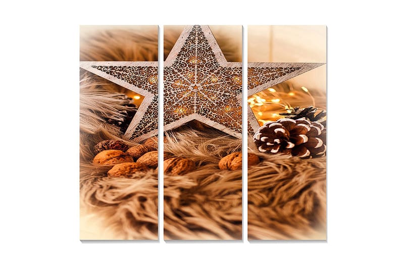 Puinen canvastaulu, 3 osaa, 50x70 cm - Koristeellinen tähti joulutunnelmalla, pähkinöiden ja kuusenoksien ympäröimänä, Beige / Ruskea / Kulta
