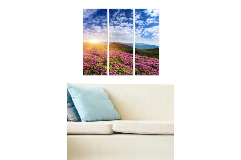 Puinen canvastaulu, 3 osaa, 50x70 cm - Kukkiva niitty värikkäillä kukilla ja auringonnousu taustalla, Vaaleanpunainen / Vihreä / Sininen