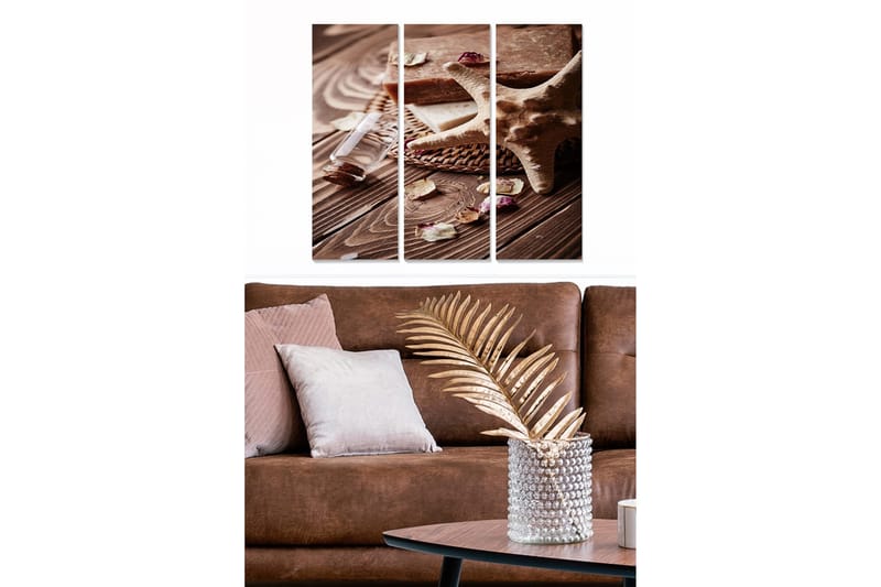 Puinen canvastaulu, 3 osaa, 50x70 cm - Luonnollista rauhaa merenelävien ja tuoksuvien yrttien kera, Beige / Ruskea / Valkoinen